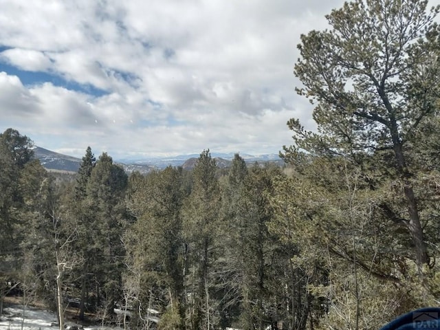 864 Wellington Dr, Cripple Creek, CO 80813 - photo 3