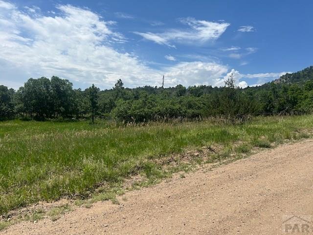 LOT58 Kaneache Blvd, Colorado City, CO 81019 - photo 6