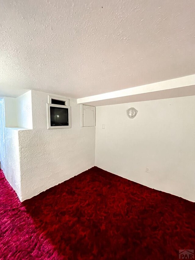 interior space with carpet floors and a textured ceiling