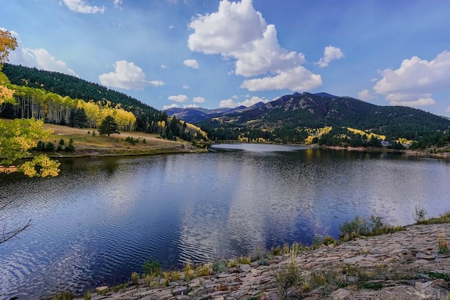 water view featuring a mountain view and a view of trees