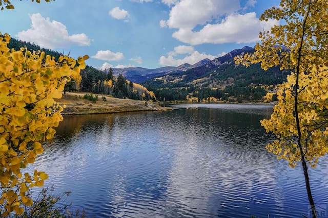 property view of water featuring a mountain view and a wooded view