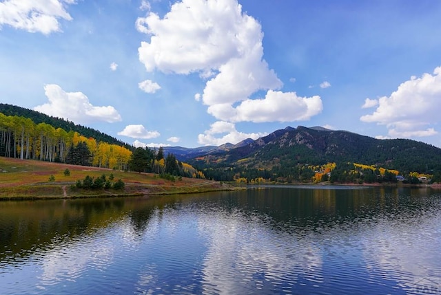 property view of water featuring a forest view and a mountain view