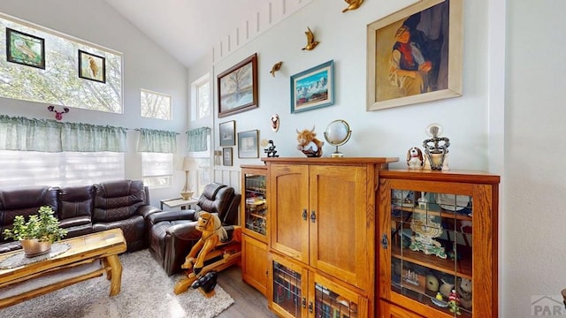 356 S Littler Dr, Pueblo West, CO 81007 - living area with lofted ceiling and wood finished floors