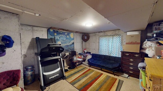 356 S Littler Dr, Pueblo West, CO 81007 - view of basement