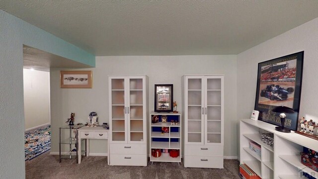 356 S Littler Dr, Pueblo West, CO 81007 - office area with carpet