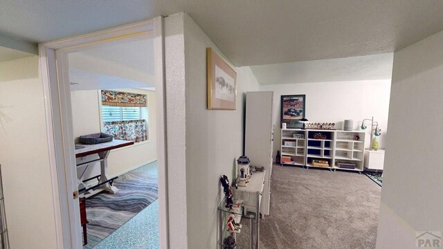356 S Littler Dr, Pueblo West, CO 81007 - corridor with carpet flooring