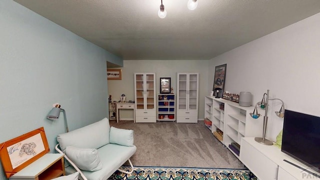 356 S Littler Dr, Pueblo West, CO 81007 - living area with carpet floors and a textured ceiling