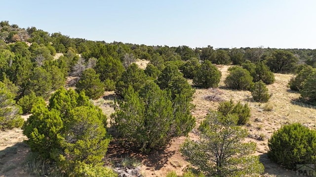 LOT136 Mohawk Cir, Walsenburg, CO 81089