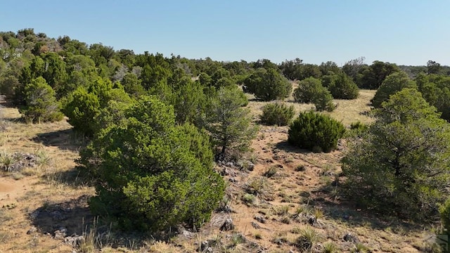 LOT136 Mohawk Cir, Walsenburg, CO 81089