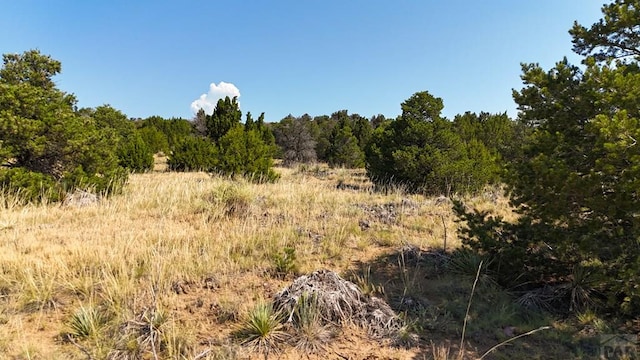 Listing photo 3 for LOT136 Mohawk Cir, Walsenburg CO 81089