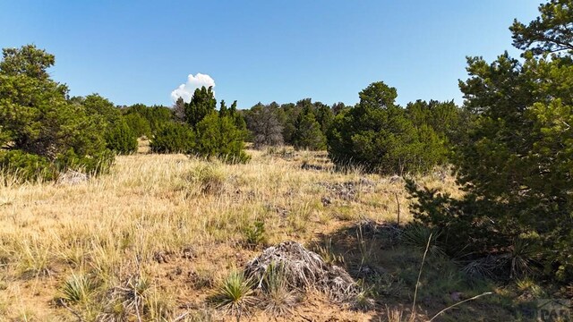LOT136 Mohawk Cir, Walsenburg, CO 81089