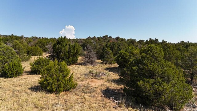LOT136 Mohawk Cir, Walsenburg, CO 81089