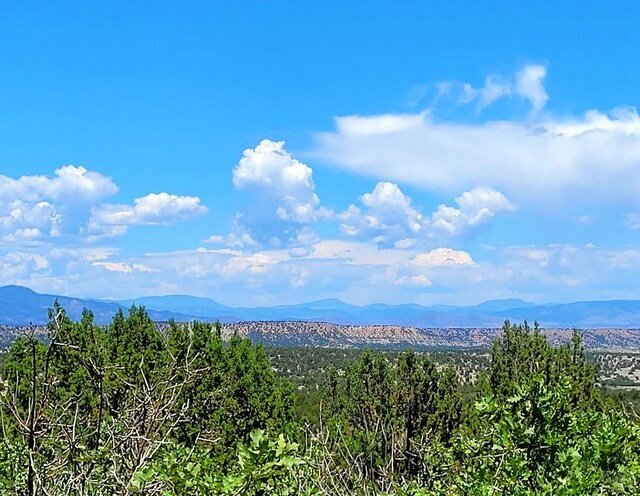 2915 Siloam Rd, Pueblo, CO 81005 - photo 6