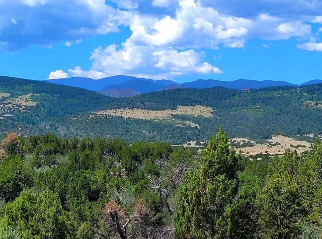 2915 Siloam Rd, Pueblo, CO 81005 - photo 3