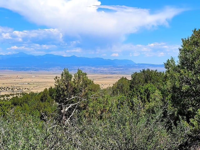 2915 Siloam Rd, Pueblo CO, 81005 land for sale