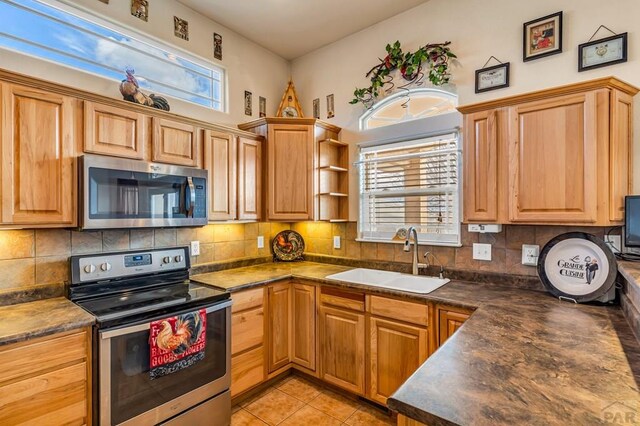 894 W Garcia Ct, Pueblo West, CO 81007 - photo 19