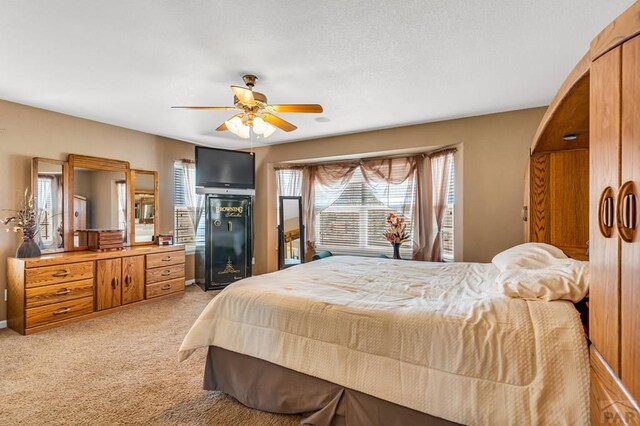 894 W Garcia Ct, Pueblo West, CO 81007 - photo 24