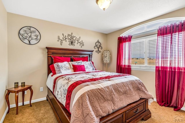 894 W Garcia Ct, Pueblo West, CO 81007 - photo 31