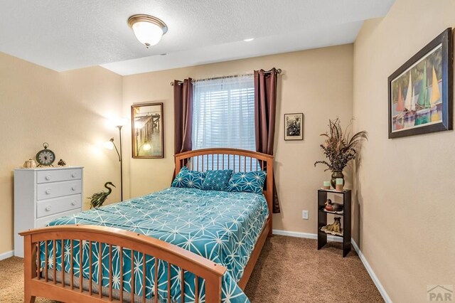 894 W Garcia Ct, Pueblo West, CO 81007 - photo 44