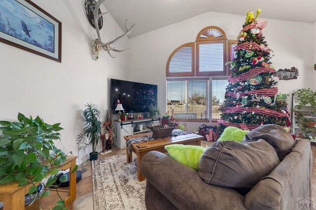 living room with high vaulted ceiling