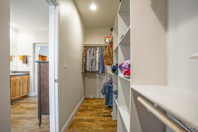 spacious closet featuring wood finished floors and a sink