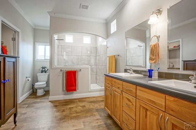 full bathroom featuring walk in shower, a healthy amount of sunlight, and a sink