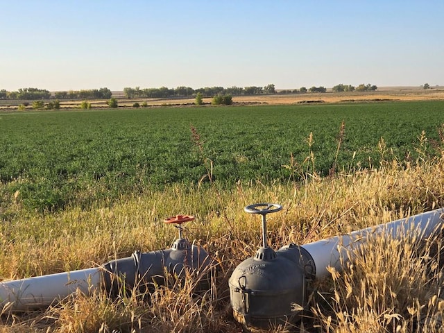view of yard featuring a rural view
