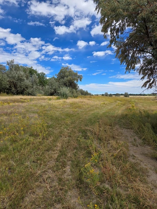 view of nature with a rural view