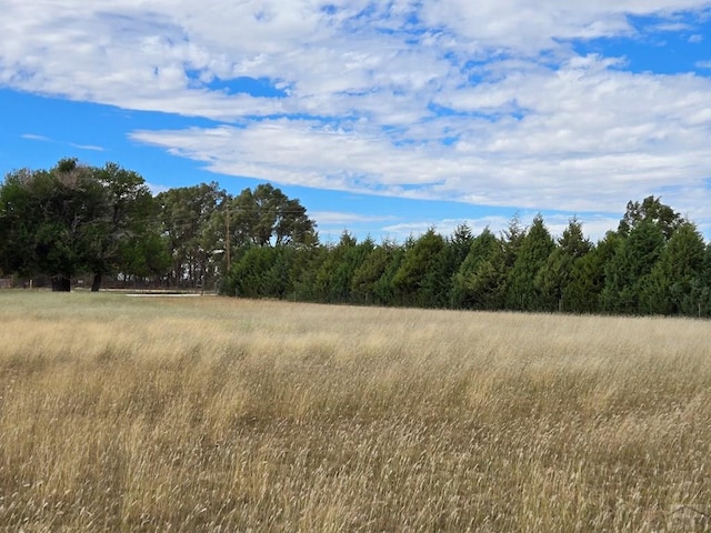 view of nature