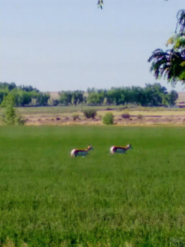 view of yard featuring a rural view