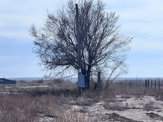 view of yard with a rural view