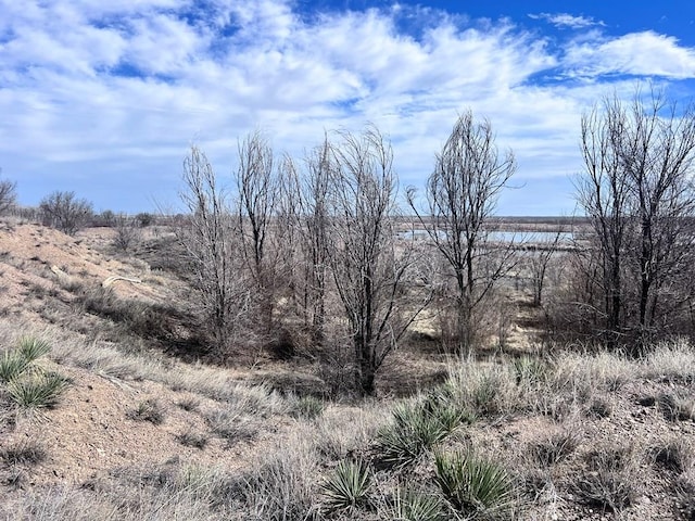 view of landscape