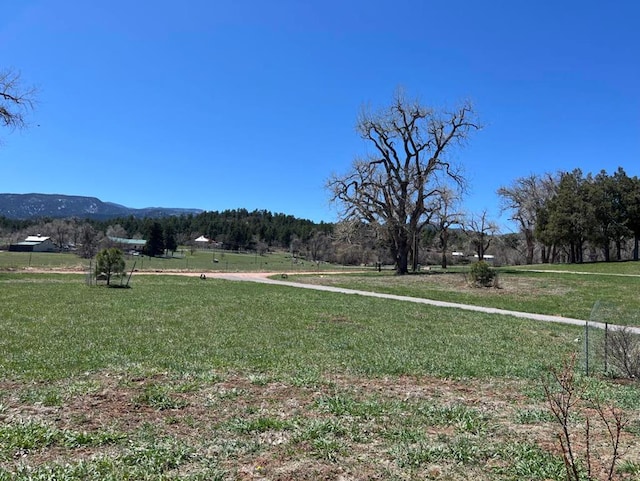 view of yard featuring a mountain view and a rural view