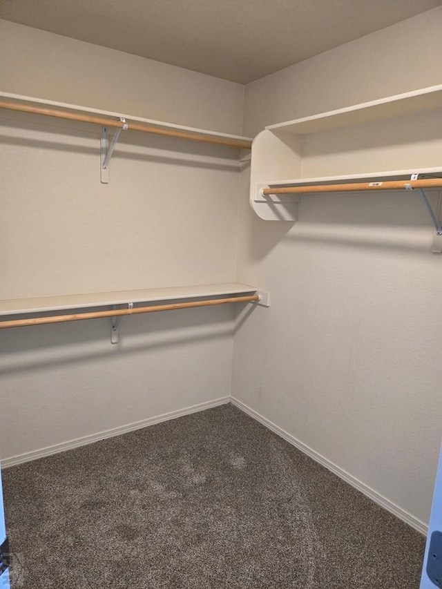 walk in closet featuring carpet