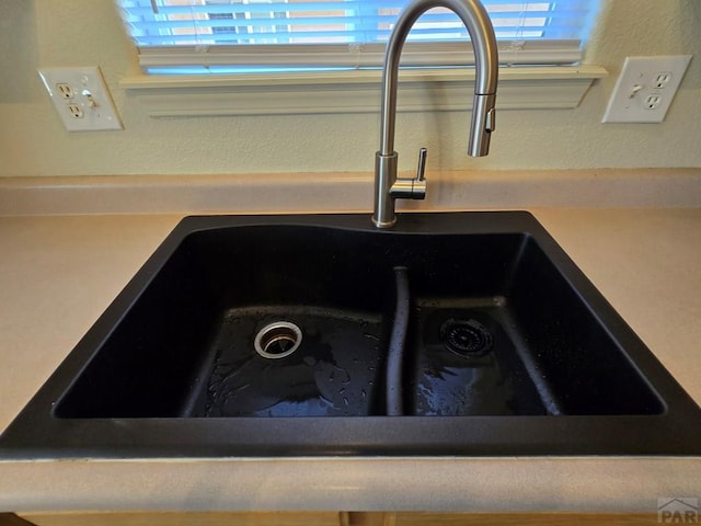 interior details featuring a sink