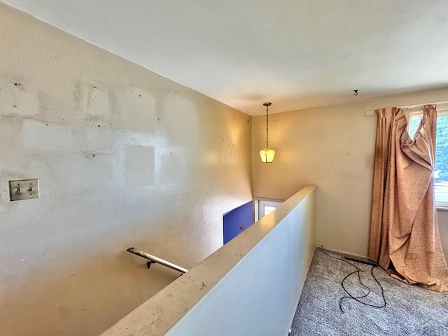 63 Dick Trefz St, Pueblo, CO 81001 - photo 15