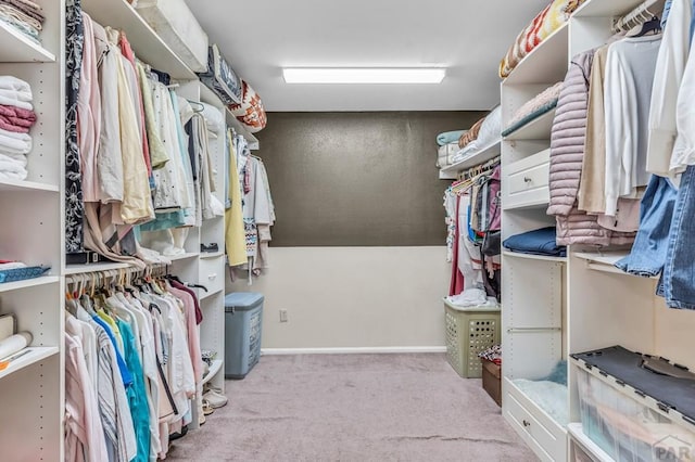 walk in closet featuring light carpet