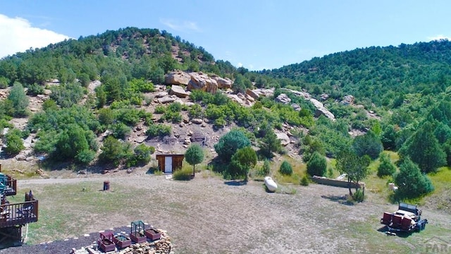 25850 River Pines Rd, Aguilar, CO 81020 - photo 51