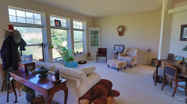 25850 River Pines Rd, Aguilar, CO 81020 - photo 10