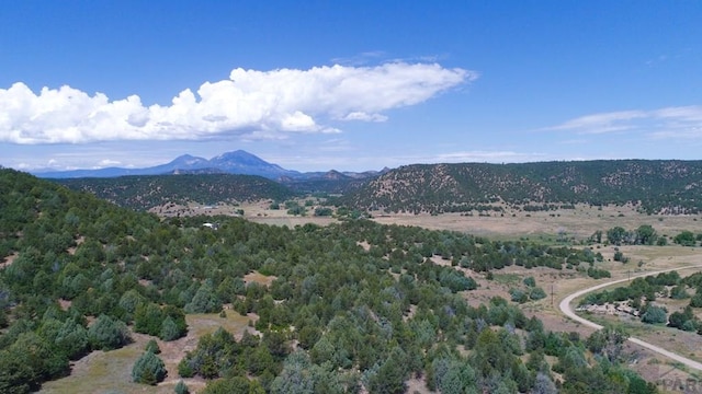 25850 River Pines Rd, Aguilar, CO 81020 - photo 55