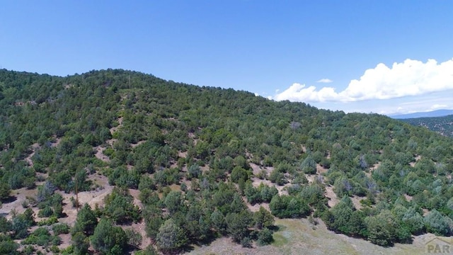 25850 River Pines Rd, Aguilar, CO 81020 - photo 54