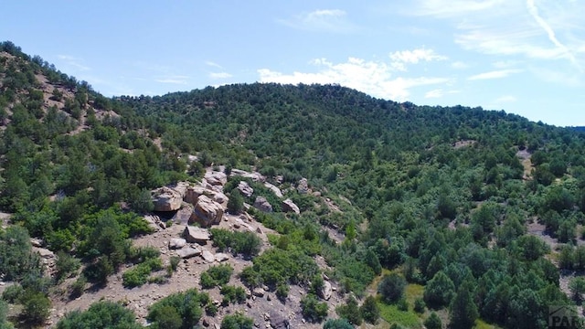 25850 River Pines Rd, Aguilar, CO 81020 - photo 59