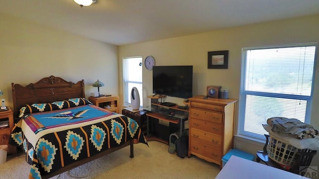 25850 River Pines Rd, Aguilar, CO 81020 - photo 20