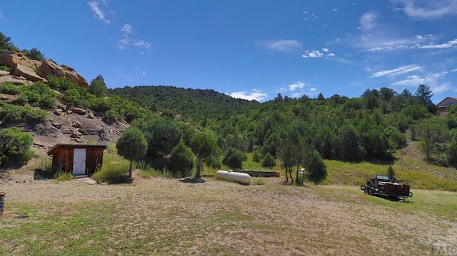 25850 River Pines Rd, Aguilar, CO 81020 - photo 48