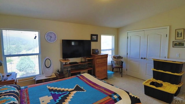 25850 River Pines Rd, Aguilar, CO 81020 - photo 21
