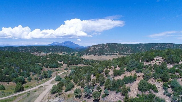25850 River Pines Rd, Aguilar, CO 81020 - photo 52