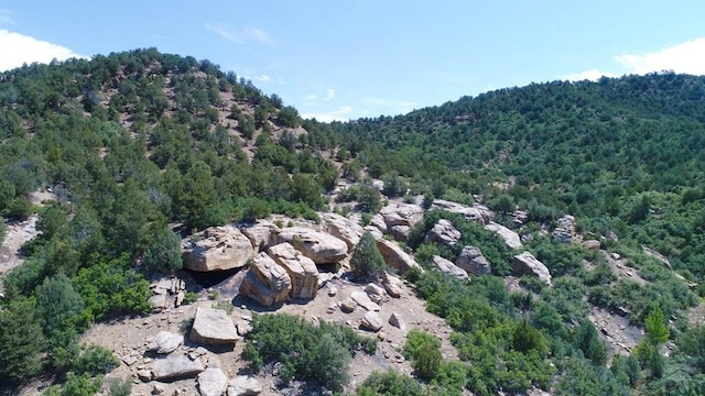 25850 River Pines Rd, Aguilar, CO 81020 - photo 53