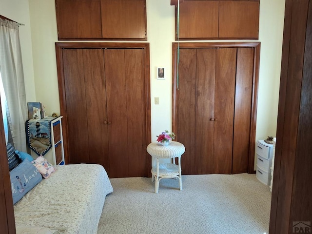 bedroom with carpet floors