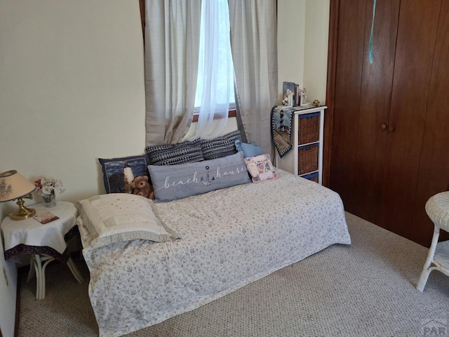 sitting room featuring carpet