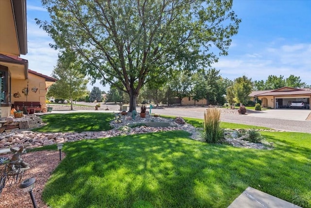 137 W Glenrose Dr, Pueblo West, CO 81007 - view of yard